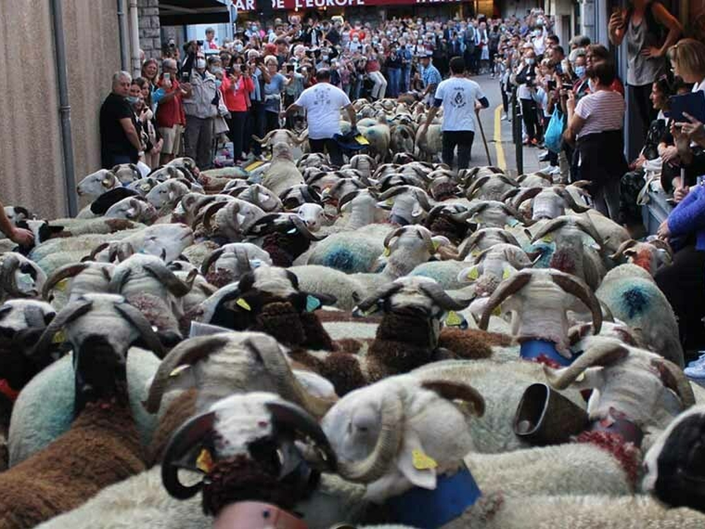 Chalet La Source Cauterets Fair Luz Transhumance