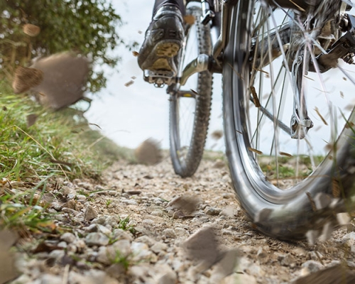 Bike in all its splendor